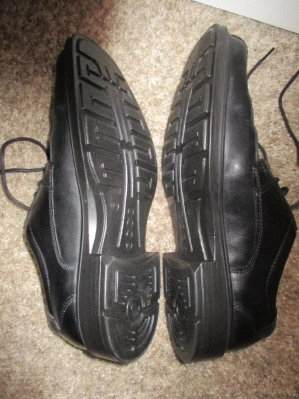 Ecco these are